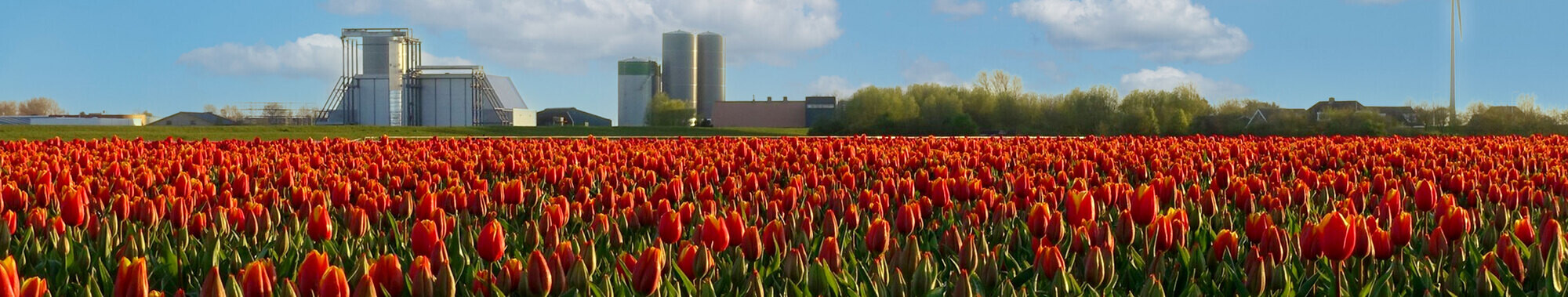 Oostwouder is een ervaren tankbouwer  